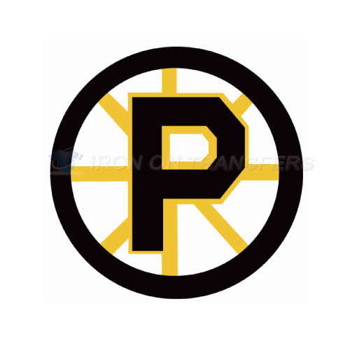 Providence Bruins Iron-on Stickers (Heat Transfers)NO.9109